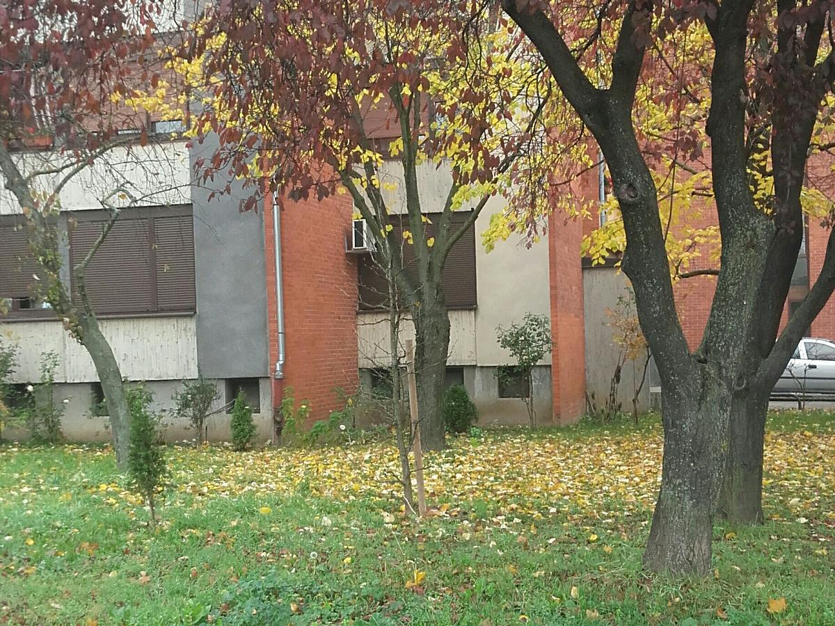 Apartment Ina Zágráb Kültér fotó
